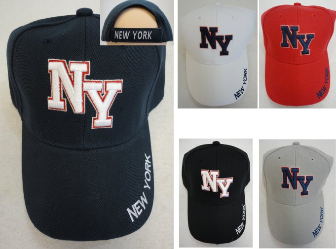 NY HAT [New York on Bill]